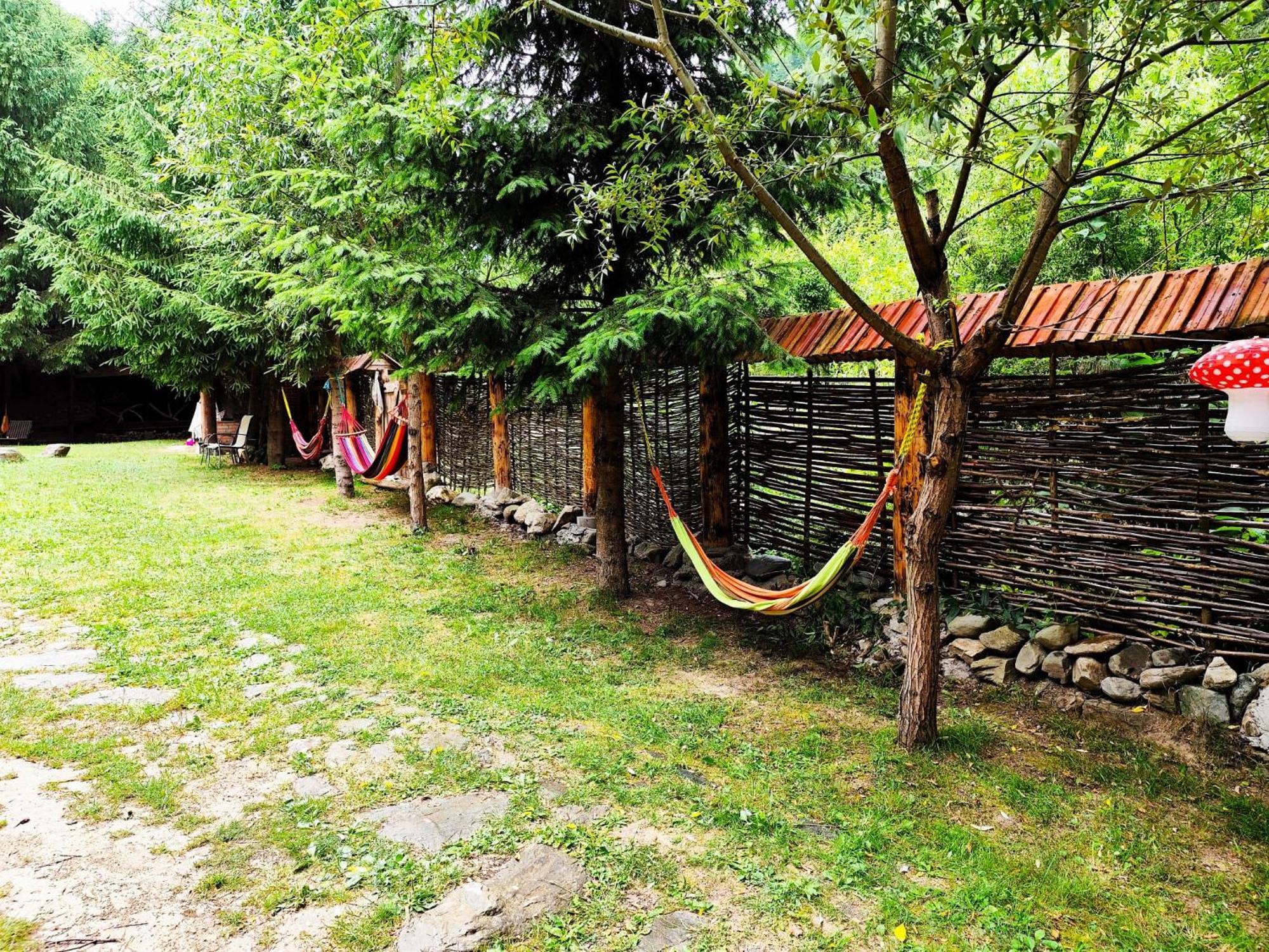 Cabana Frasin Dragoslavele Exterior foto