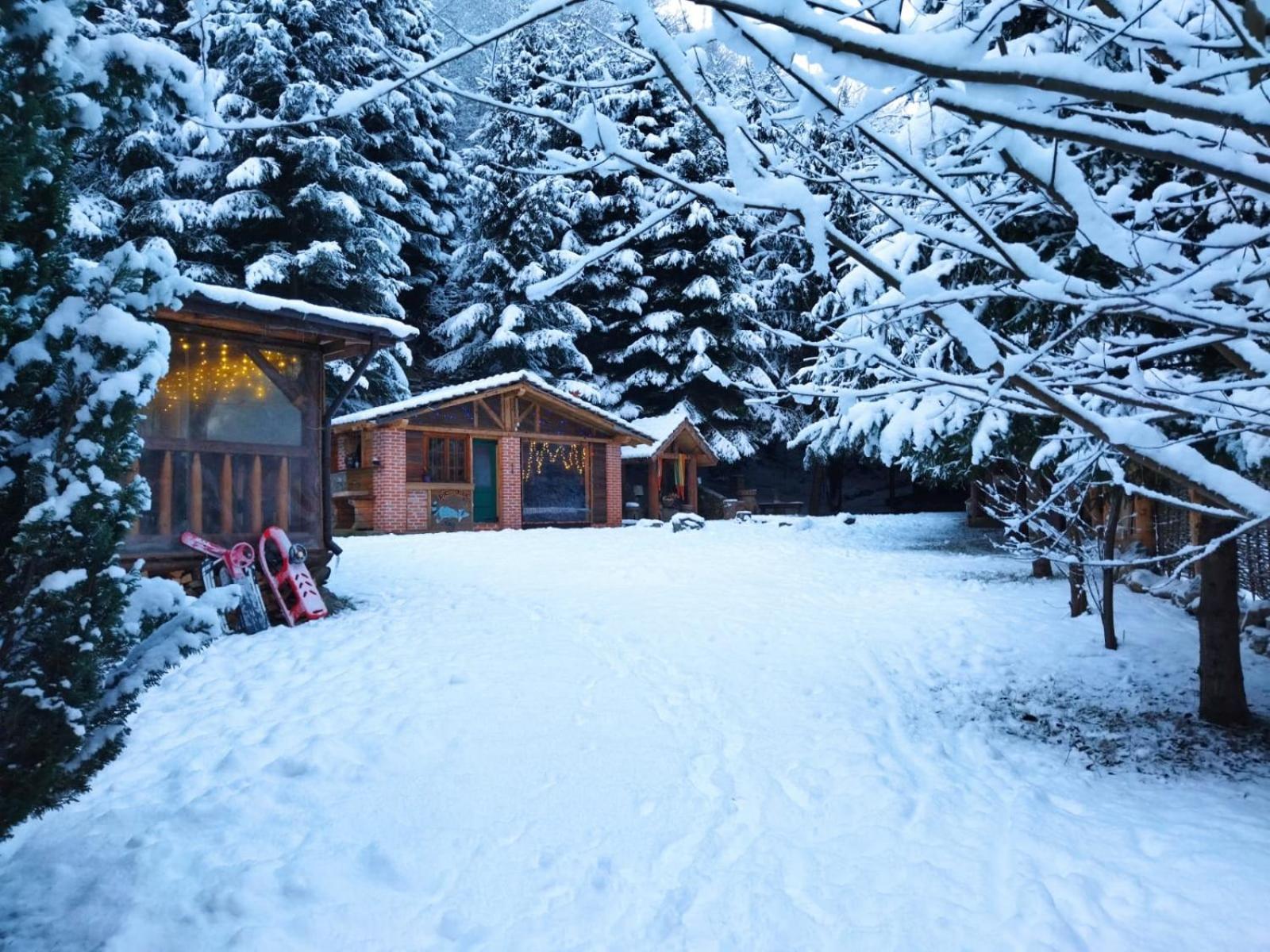 Cabana Frasin Dragoslavele Exterior foto